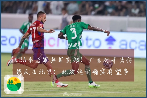 CBA季后赛异军突起!广东对手为何能反击北京:此次他们确实有望争冠